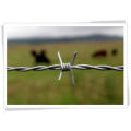 Low Price / High Quality Colors Razor Wire